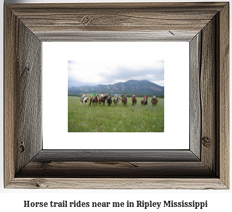 horse trail rides near me in Ripley, Mississippi